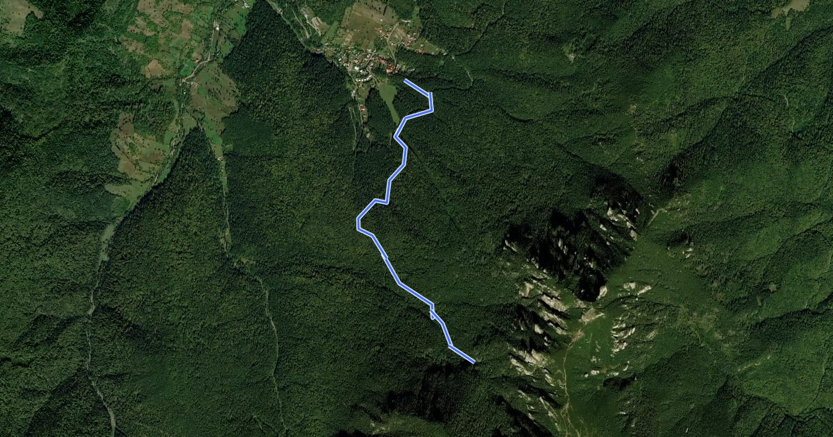 Маршрут Stațiunea Durău - Piciorul lui Bucur - Cascada Duruitoarea на спутниковом снимке