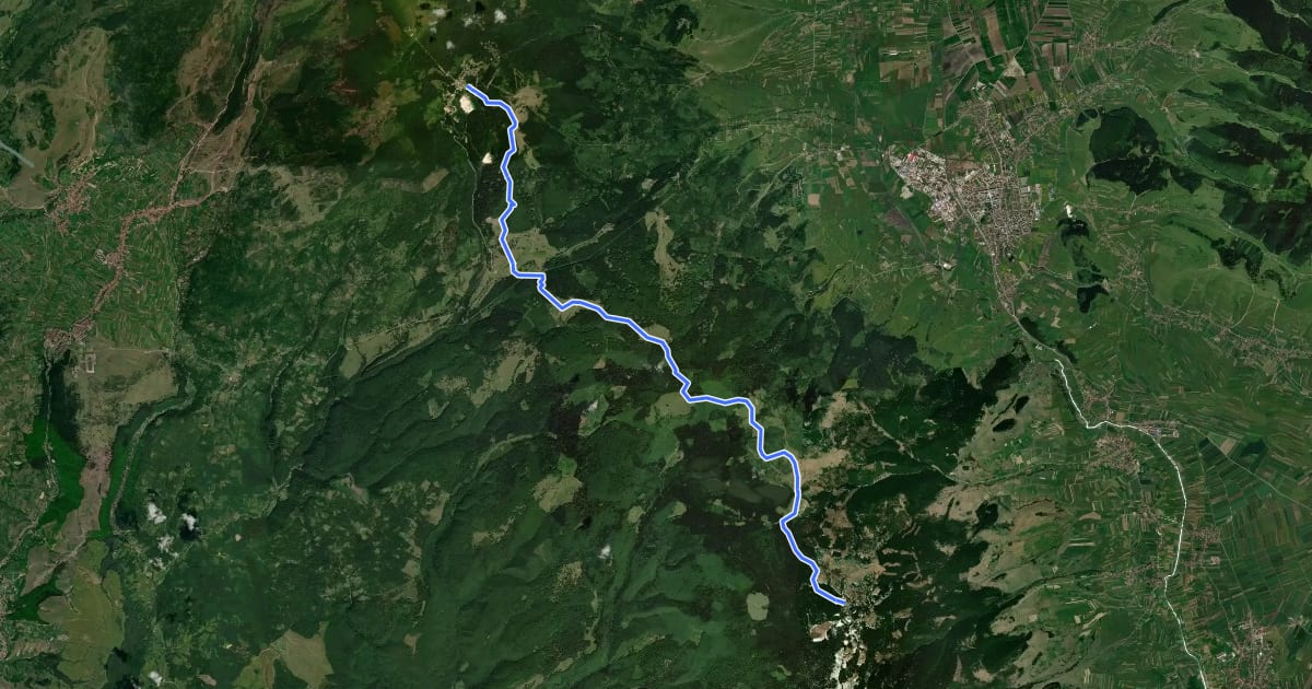 Маршрут Stațiunea Harghita-Băi - Pasul Vlăhița (Tolvaioș) - sat Sântimbru-Băi на спутниковом снимке