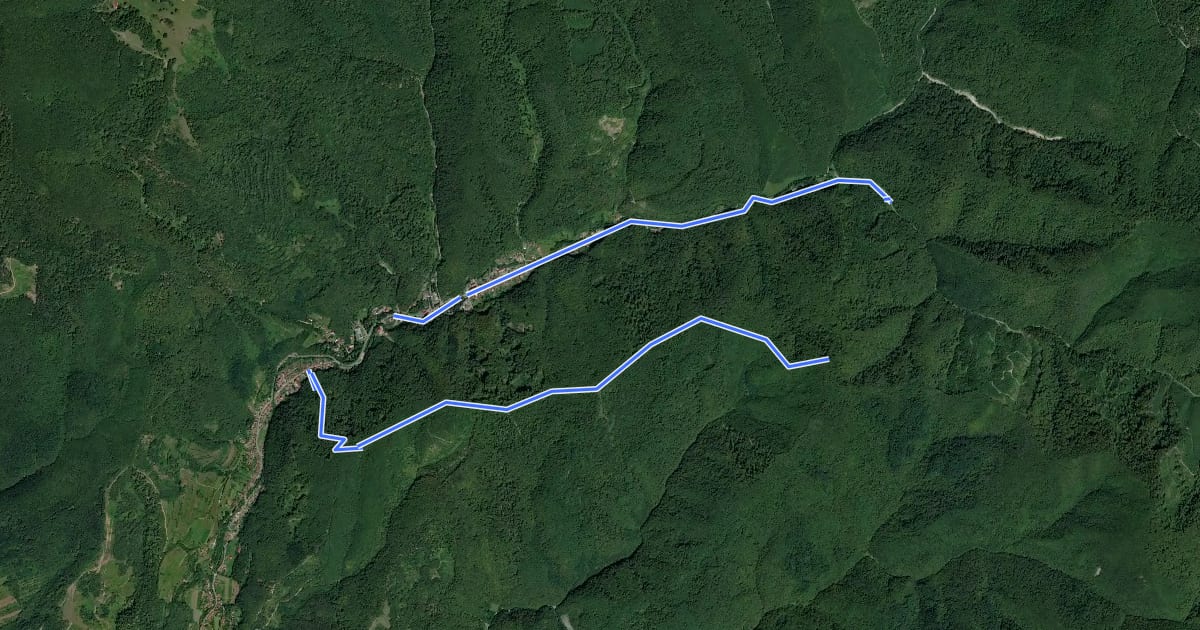 Маршрут Staţiunea Moneasa – Culmea Zelea Neagră – Valea Lungă – Staţiunea Moneasa на спутниковом снимке