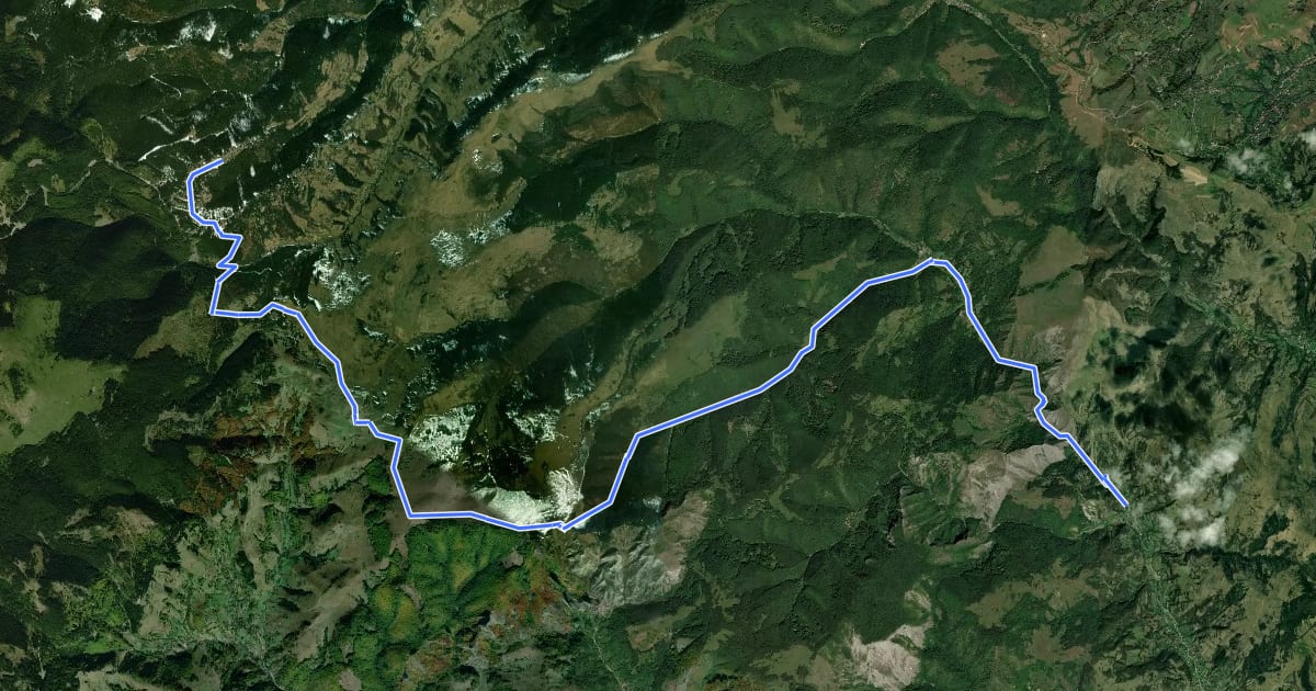 Маршрут Stațiunea Muntele Băișorii - Rezervația Scărița Belioara - Runc на спутниковом снимке