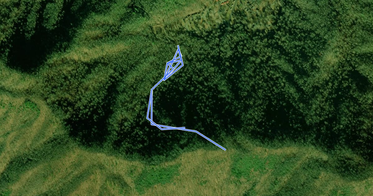 Маршрут Stairway to Heaven Trail на спутниковом снимке