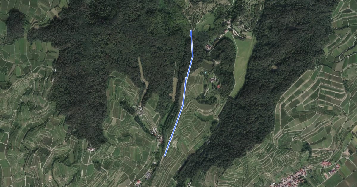 Маршрут Stalleck-Gasse - Unterer Wetzentalweg на спутниковом снимке