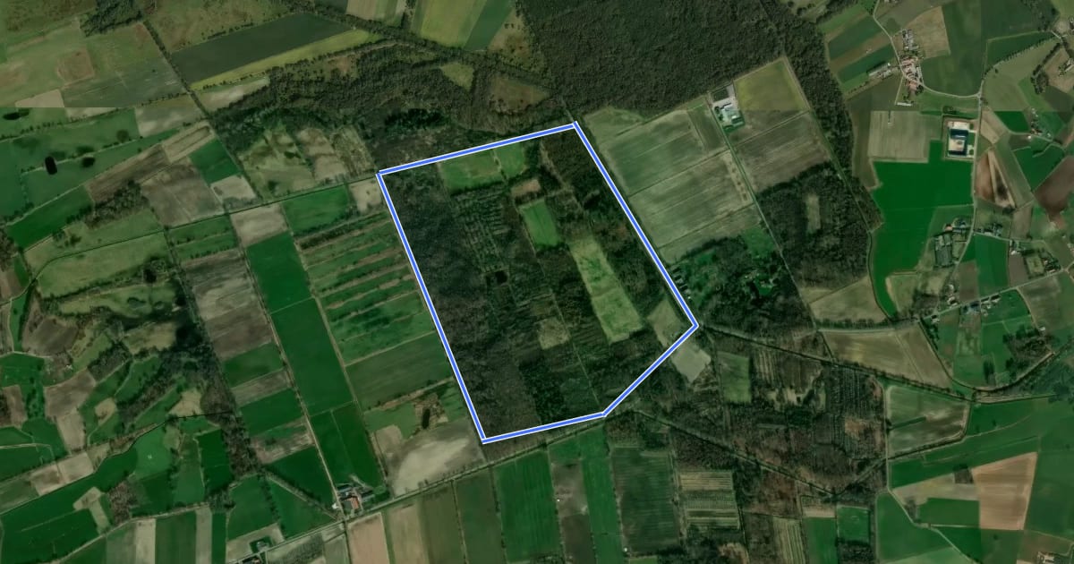 Маршрут Stamprooierbroek Groene rechthoek на спутниковом снимке