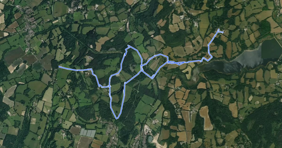 Маршрут Standen to Selsfield Common, Standen на спутниковом снимке