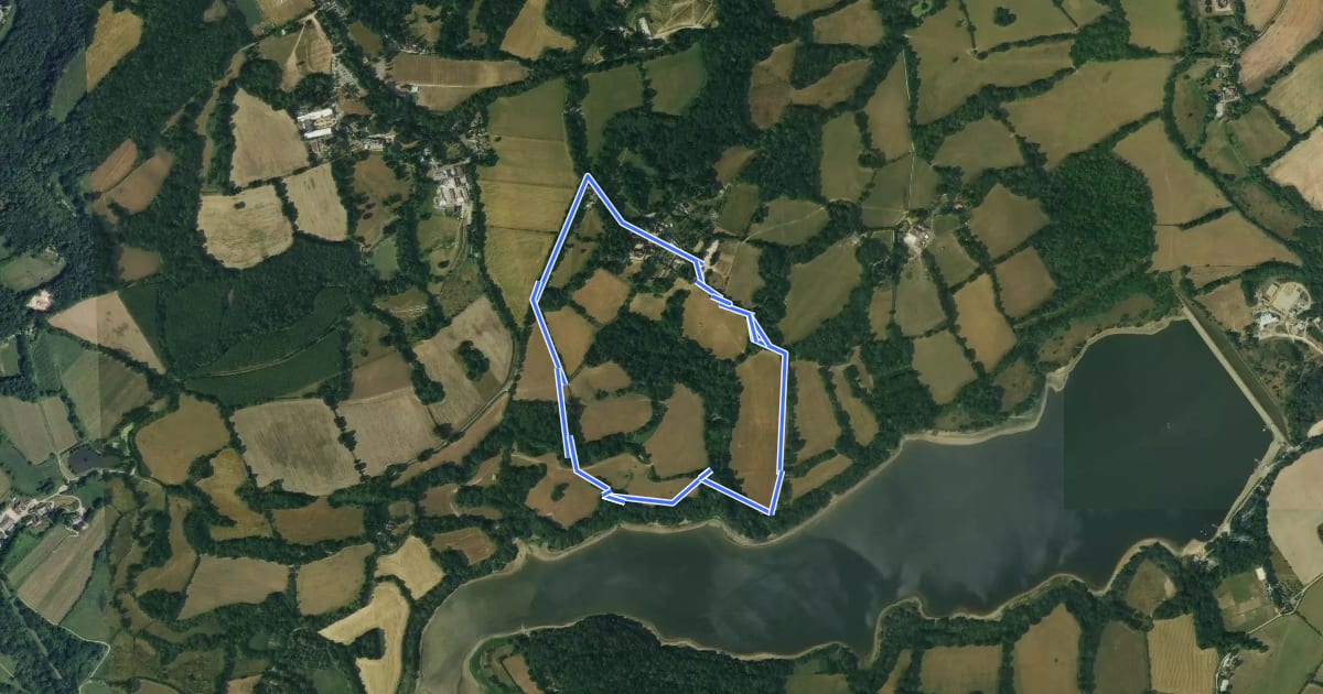 Маршрут Standen to Weir Wood Reservoir Walk, Standen на спутниковом снимке