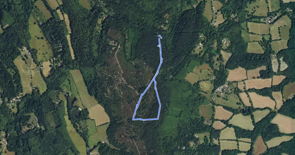 Маршрут Stargazing Circular Walk at Black Down на спутниковом снимке