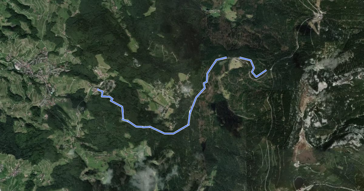 Маршрут Statera Schwarzwaldtrail на спутниковом снимке
