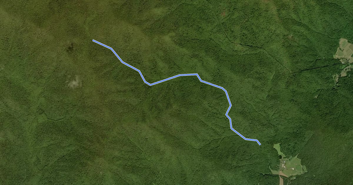 Маршрут Staunton River Trail на спутниковом снимке