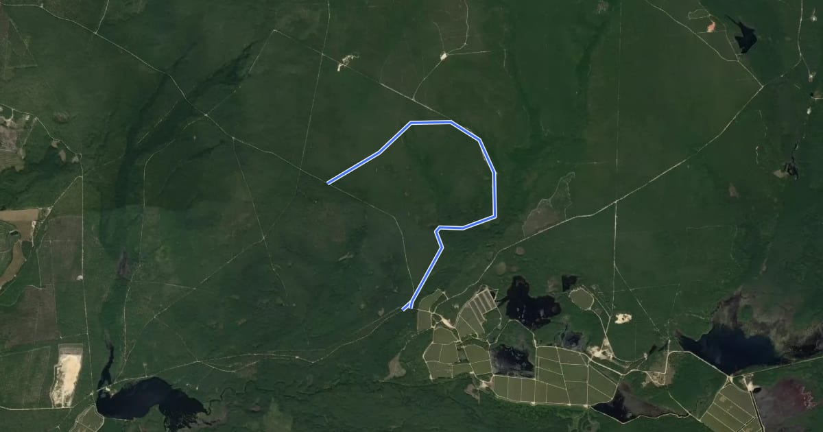 Маршрут Stave Road на спутниковом снимке