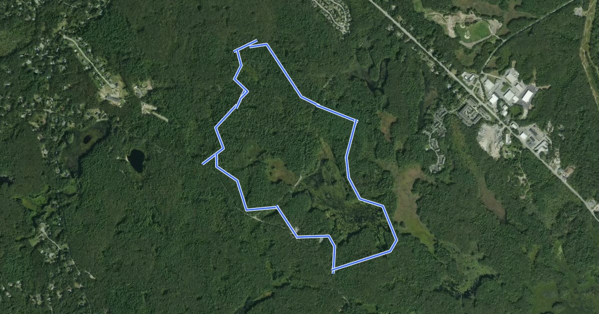 Маршрут Stearns Pond Blue Loop на спутниковом снимке