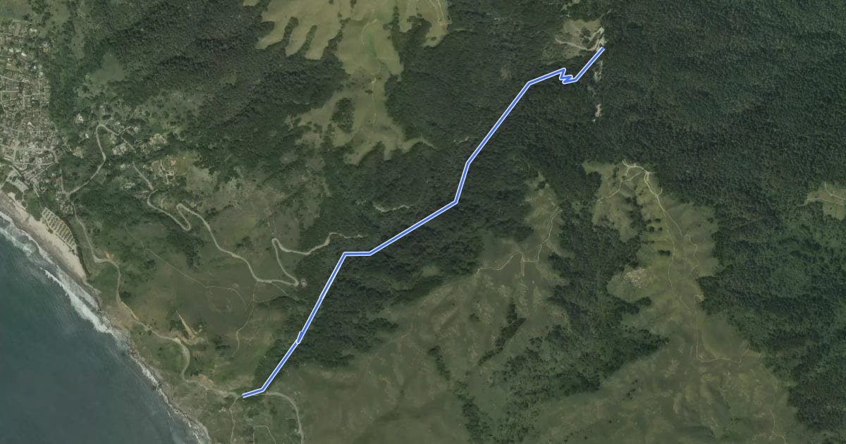 Маршрут Steep Ravine Trail на спутниковом снимке