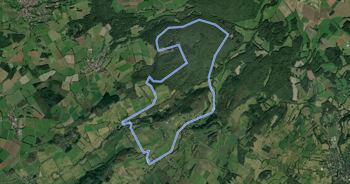 Маршрут Steigertal Rundwanderweg на спутниковом снимке