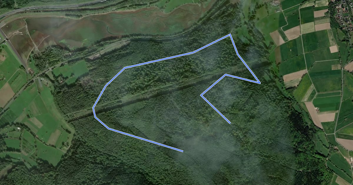Маршрут Steinau a. d. Straße, Wanderweg 3a на спутниковом снимке