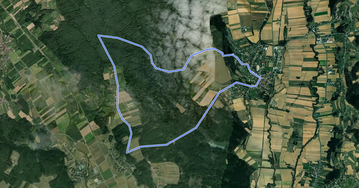 Маршрут Steinbachwaldweg на спутниковом снимке