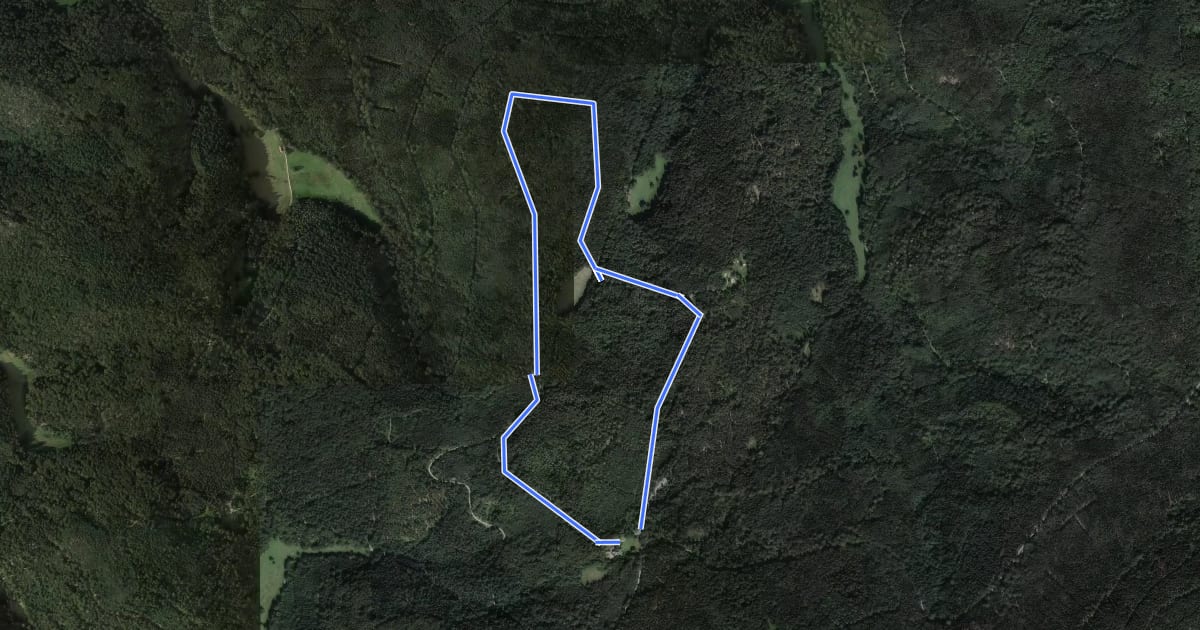 Маршрут Steinberg Rundweg на спутниковом снимке