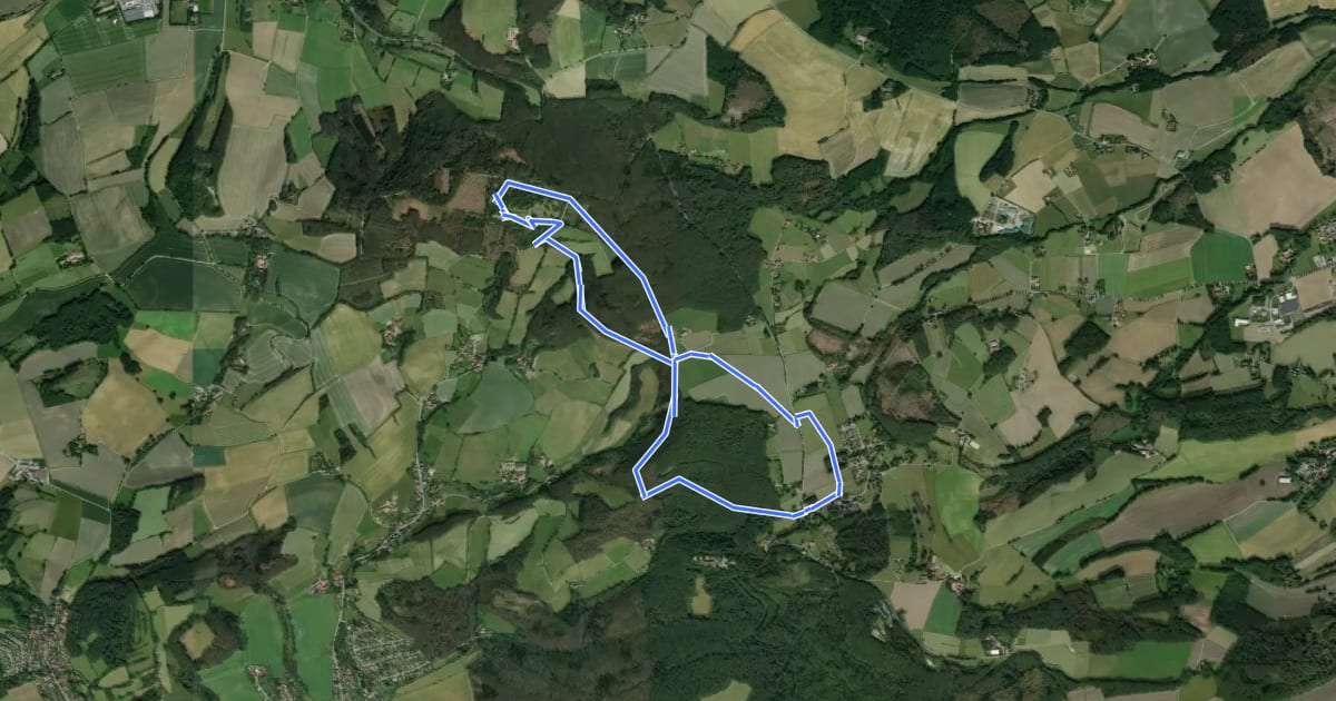 Маршрут Steinbergweg на спутниковом снимке