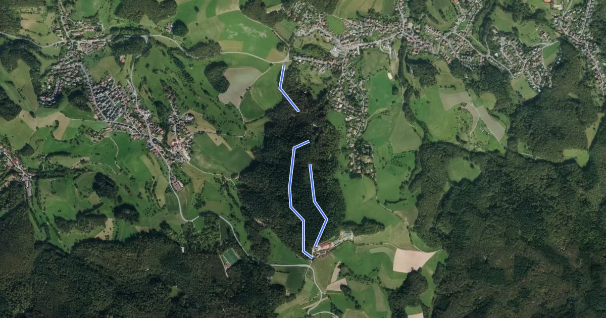 Маршрут Steinbergweg на спутниковом снимке