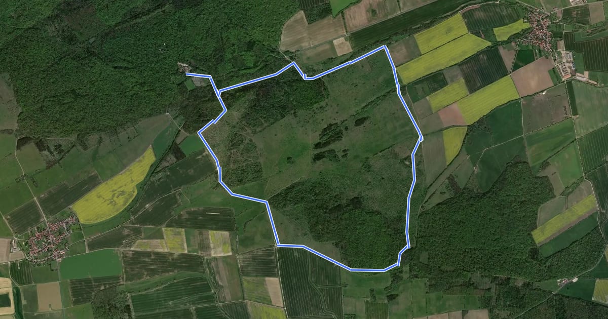 Маршрут Steinbergweg на спутниковом снимке