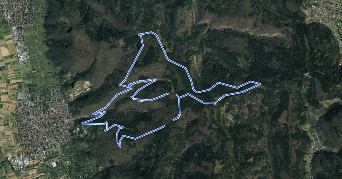 Маршрут Steinbrecher Trails на спутниковом снимке