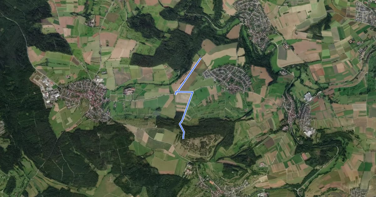 Маршрут Steinegger Weg - Büchelberg West на спутниковом снимке