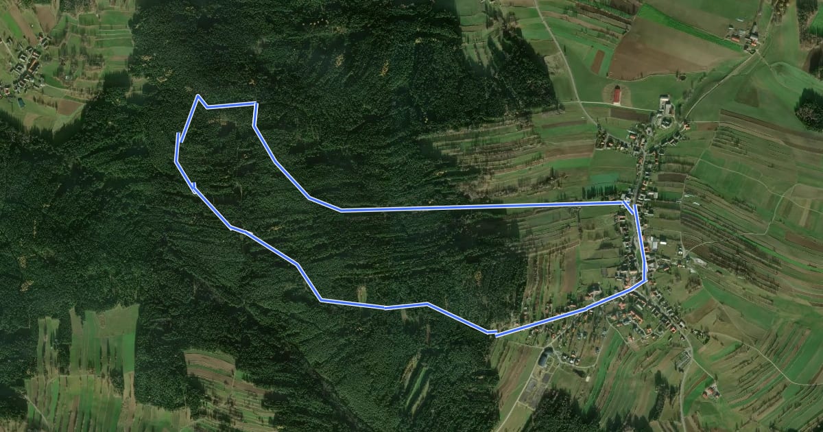 Маршрут Steinernestubenweg на спутниковом снимке
