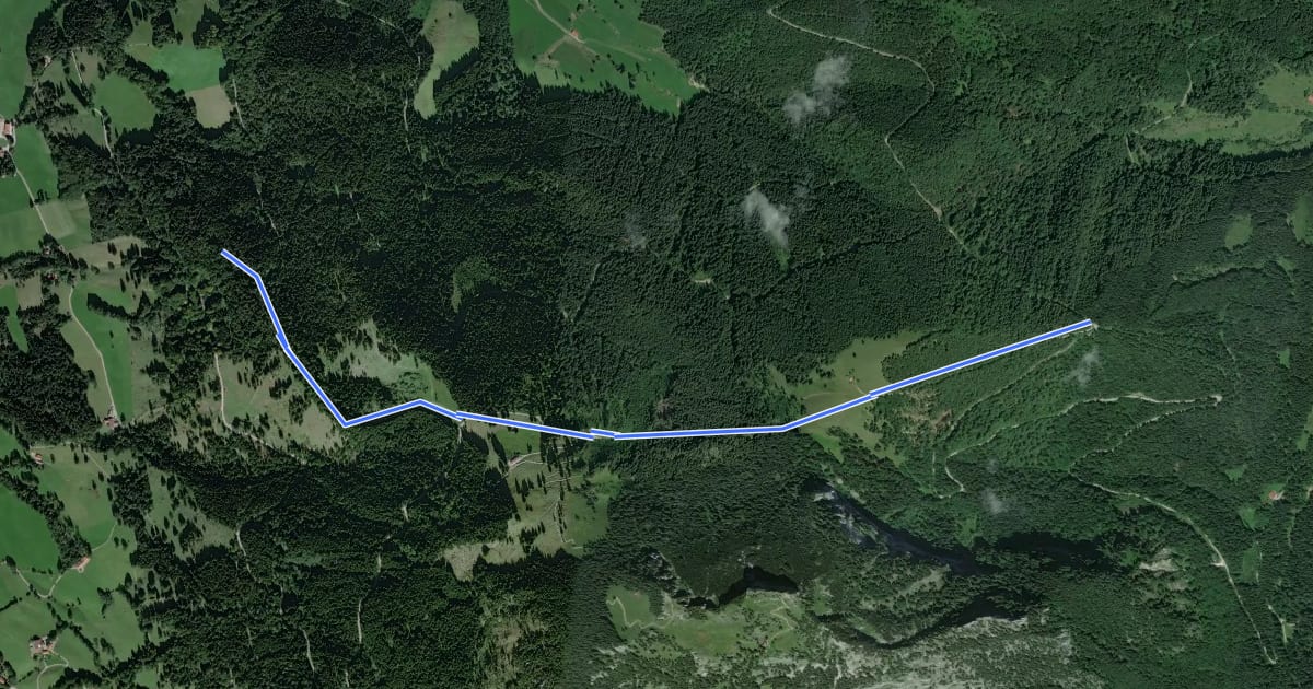 Маршрут Steingrabner - Alm - Wirtsalm - Bad Feilnbach на спутниковом снимке