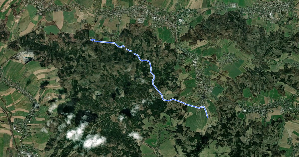 Маршрут Steinigtwolmsdorf - Neukirch West (gelber Punkt) на спутниковом снимке