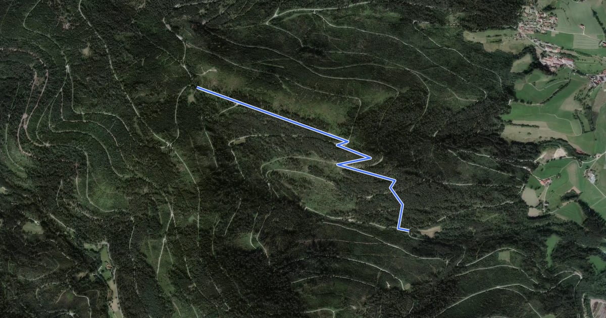Маршрут Steinmäuerle - Weiherhütte на спутниковом снимке