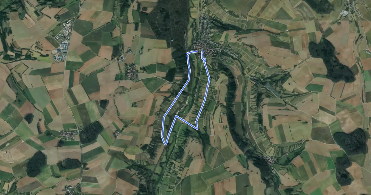 Маршрут Steinriegelweg на спутниковом снимке