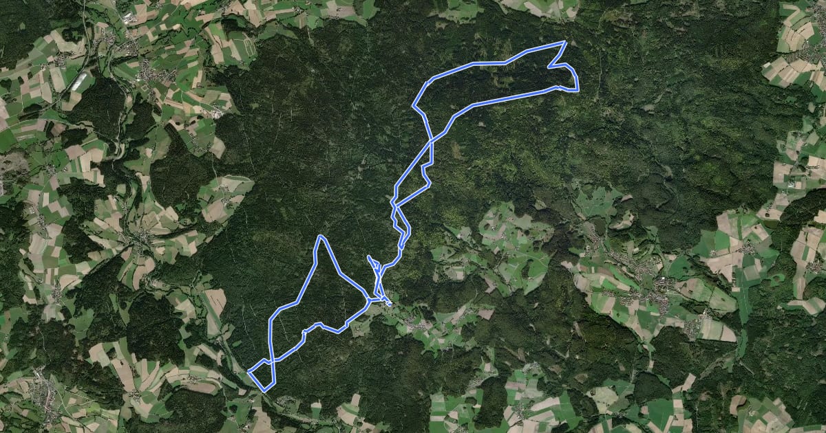 Маршрут Steinwald-Trailrunde на спутниковом снимке