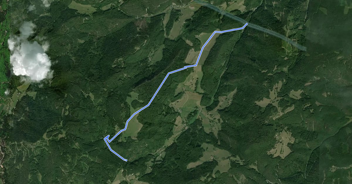 Маршрут Steinwandgraben - Pogra - Berg - Steinwandklamm на спутниковом снимке