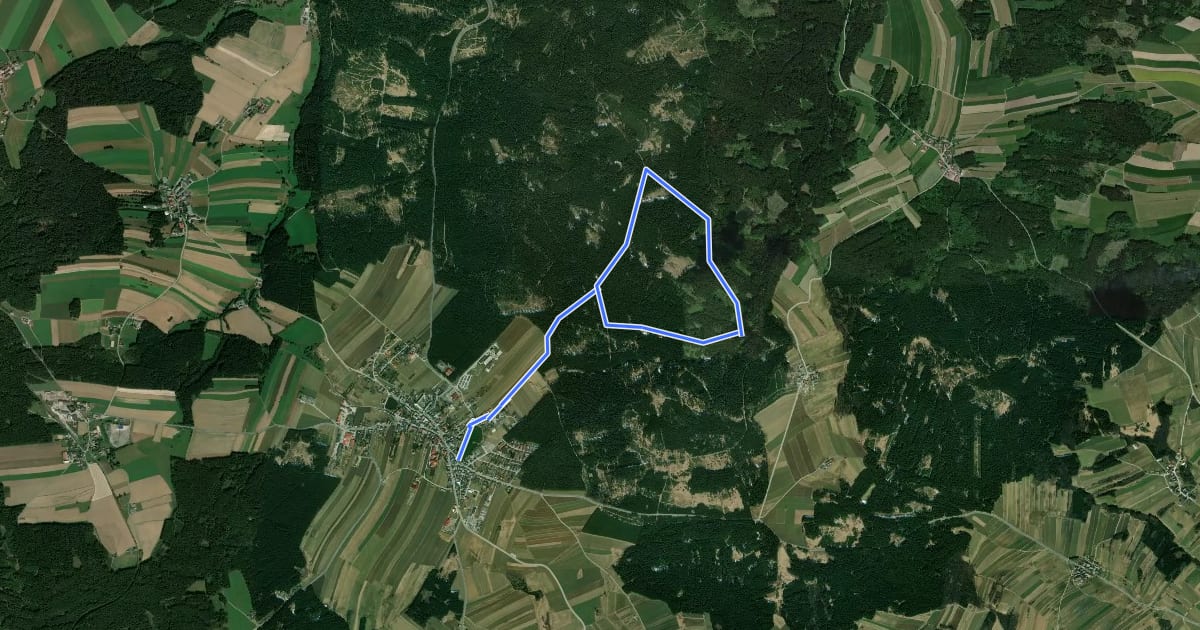 Маршрут Steinwandweg 32 на спутниковом снимке