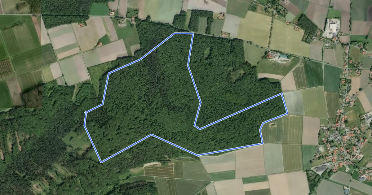 Маршрут Stemwede-Oppendorf Rundweg A4 на спутниковом снимке