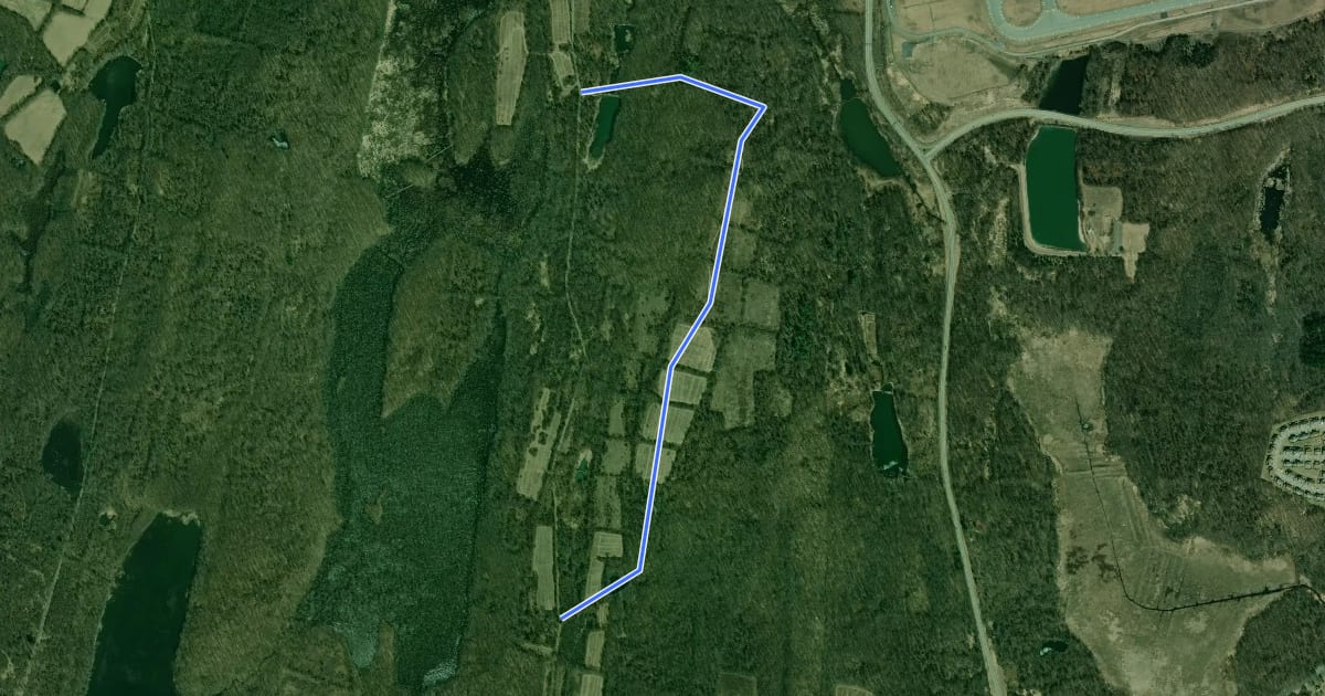Маршрут Stewart - Buchanan Hill Trail на спутниковом снимке