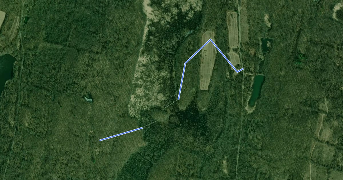 Маршрут Stewart State Forest Trails на спутниковом снимке