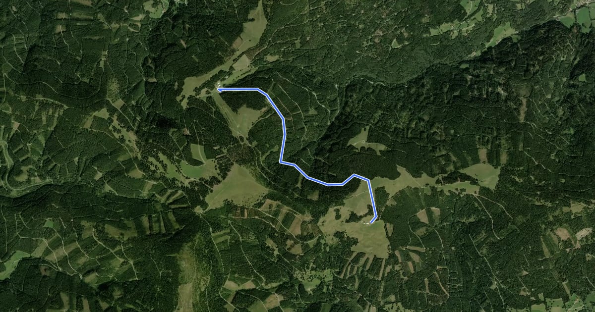 Маршрут Steyersberger Schwaig Route на спутниковом снимке