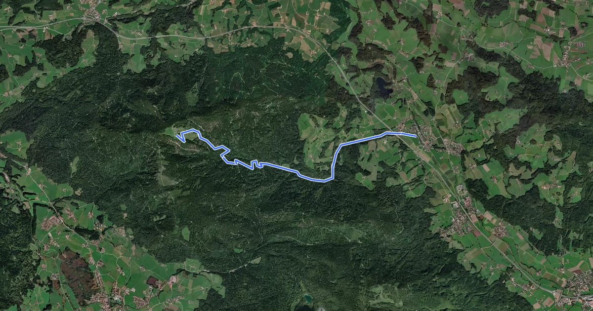 Маршрут Stoißer Alm von Anger на спутниковом снимке