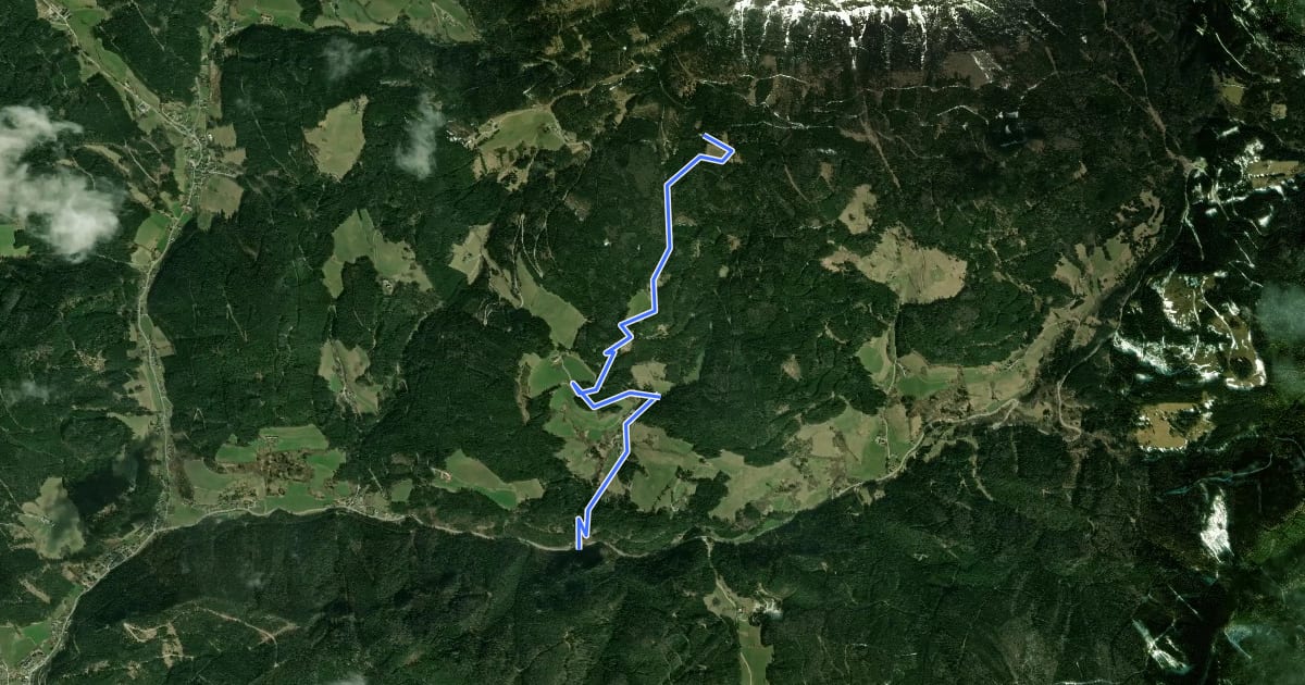 Маршрут Stojen - Mitterbachweg - Kohlbachecksteig - Redensteig на спутниковом снимке