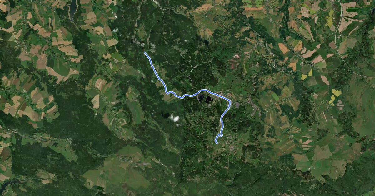 Маршрут Stoneman Miriquidi Road: Bärenfels – Zinnwald на спутниковом снимке