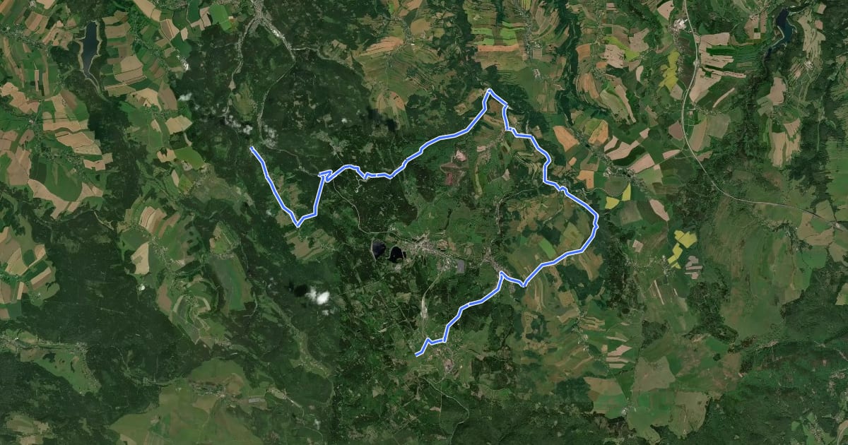 Маршрут Stoneman Miriquidi Road C: Zinnwald – Bärenfels на спутниковом снимке