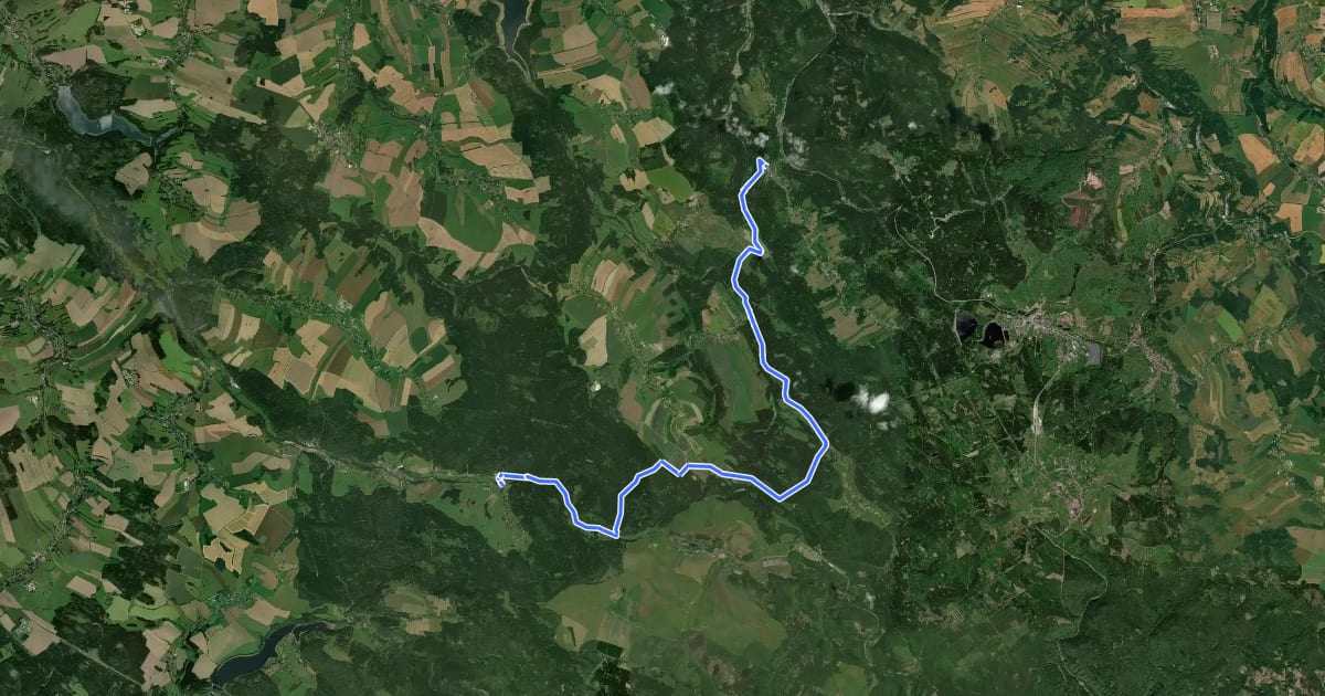 Маршрут Stoneman Miriquidi Road: Holzhau – Bärenfels на спутниковом снимке