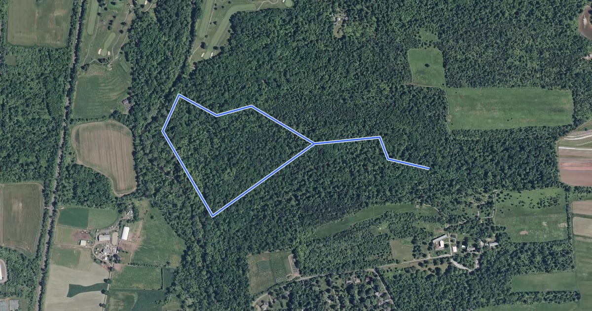 Маршрут Stony Brook Trail на спутниковом снимке