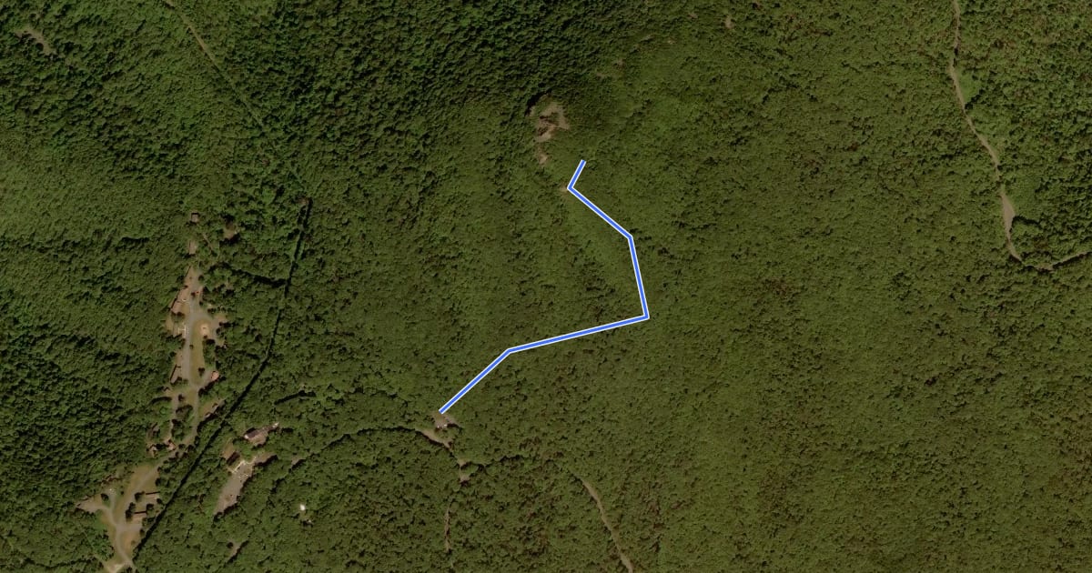 Маршрут Stony Man Horse Trail на спутниковом снимке