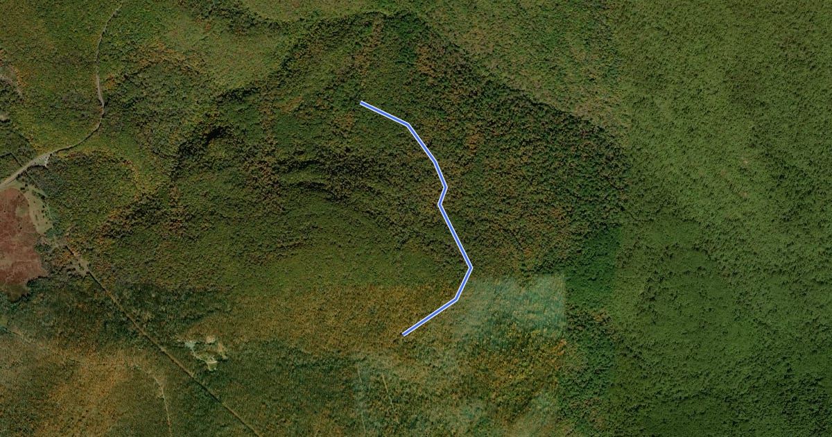 Маршрут Stony Mountain Trail на спутниковом снимке