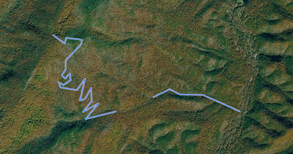 Маршрут Stony Run Trail на спутниковом снимке