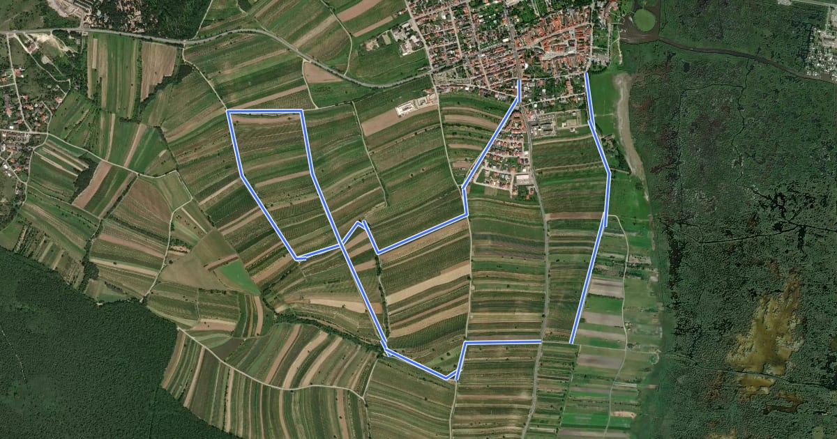 Маршрут Storchenweg (Rust) на спутниковом снимке