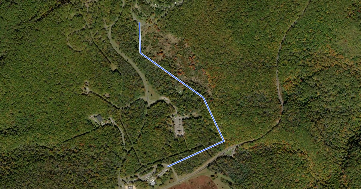 Маршрут Story of the Forest Trail на спутниковом снимке