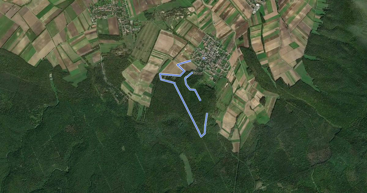 Маршрут Stotzing (Dorfwirt) - Langackerkreuz - Kleinhalbjoch - Hoher Berg - Dorfwirt на спутниковом снимке