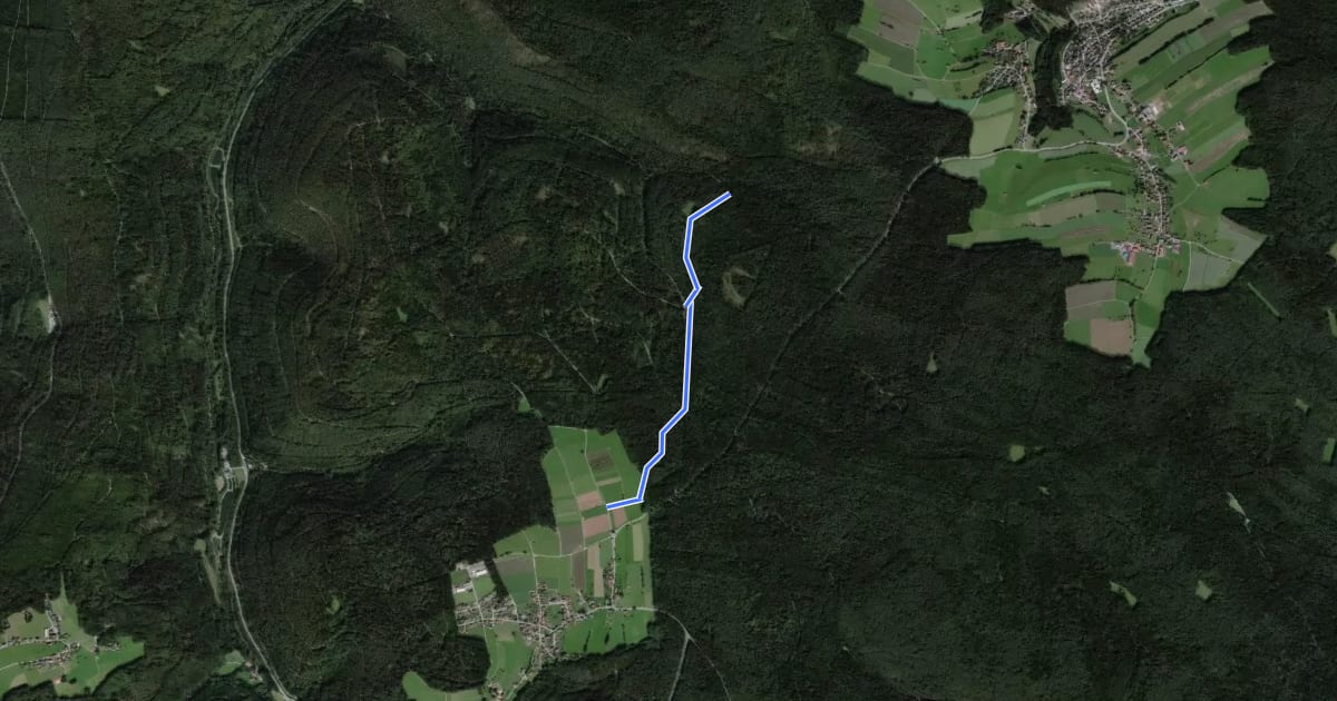 Маршрут Straßenwartshütte - Kohlplatte на спутниковом снимке