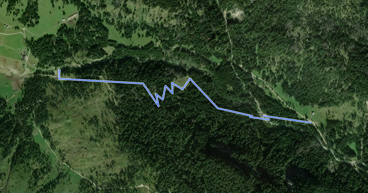 Маршрут Strada forestale Pian de Rucenaes на спутниковом снимке